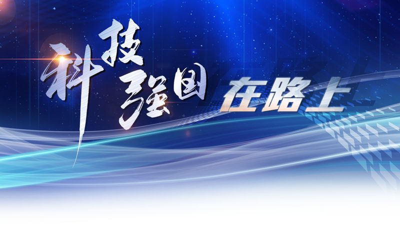 轻量级机器学习平台：架构解析与选型指南